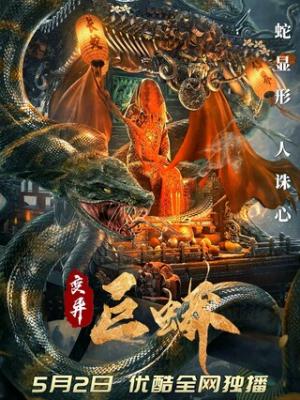 梨泰院级别